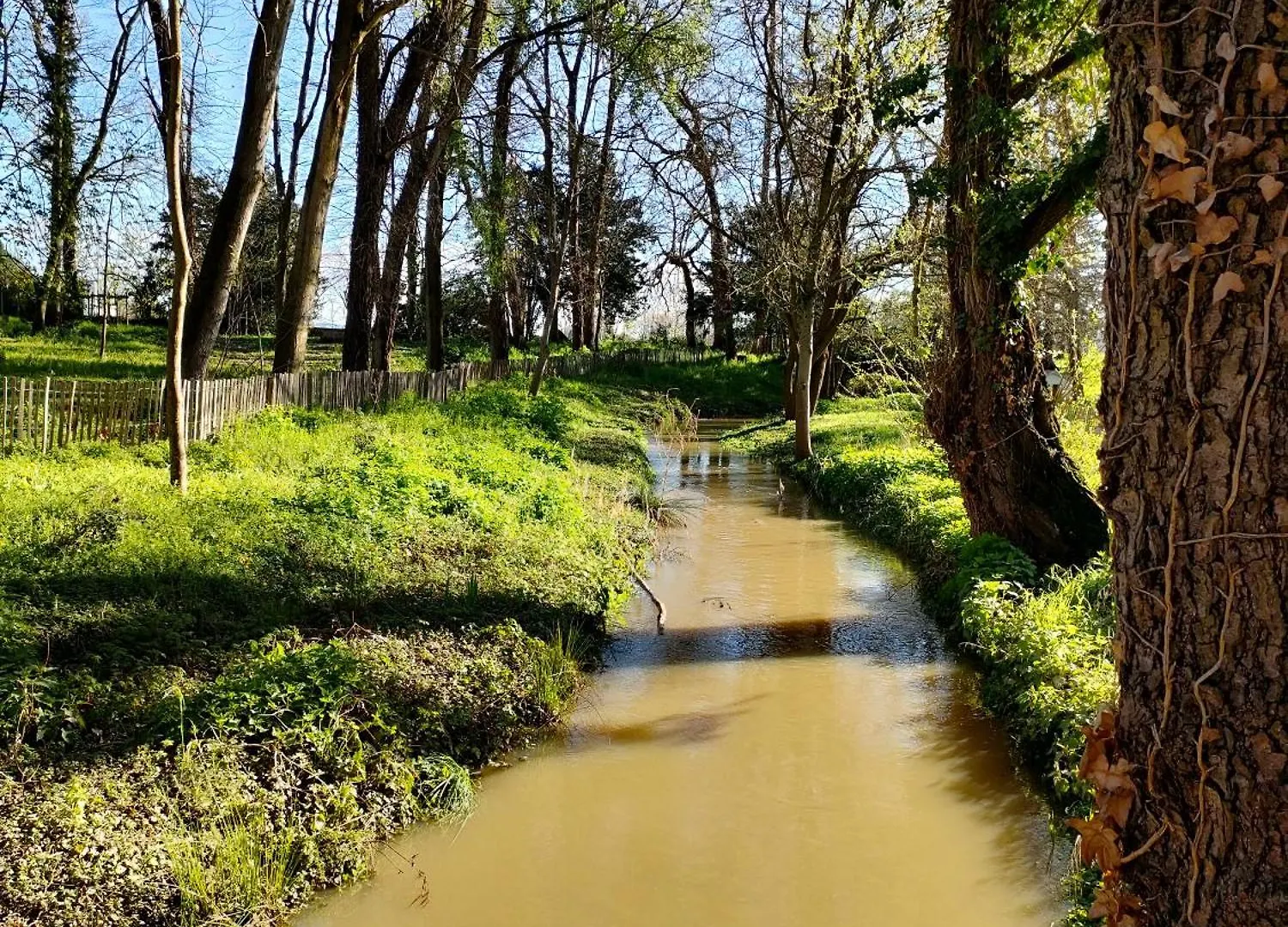 La Chamade En Beaujolais Bed & Breakfast Anse